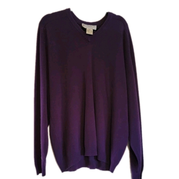 Hardenglen Scotland Men's Cashmere Wool Knit Pullover Sweater V-Neck Purple XL